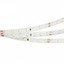 Фото Arlight RT 2-5000 White6000 1.6x 019913(B) Светодиодная лента 24В (2835, IP33, 490 LED, PRO, 5 м)