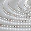 Фото Arlight RT 2-5000 White6000 2x 010347(B) Светодиодная лента 24В (3528, IP33, 600 LED, LUX, 5 м)