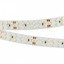 Фото Arlight RT 2-5000 White6000 2x2 008771(B) Светодиодная лента 24В (3528, IP33, 1200 LED, LUX, 5 м)
