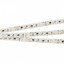 Фото Arlight RT-10000 White6000 2x 025004 Светодиодная лента 24В (3528, IP33, 120 LED/m, 10 м)