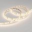 Фото Arlight RTW 2-5000SE Day 2x 015441(B) Светодиодная лента 12В (3528, IP65, 600 LED, LUX, 5 м)