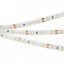 Фото Arlight RTW 2-5000SE Warm 014795(B) Светодиодная лента 12В (3528, IP65, 300 LED, LUX, 5 м)