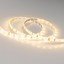 Фото Arlight RTW 2-5000SE Warm 014795(B) Светодиодная лента 12В (3528, IP65, 300 LED, LUX, 5 м)