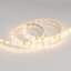 Фото Arlight RTW 2-5000SE Warm 014795(B) Светодиодная лента 12В (3528, IP65, 300 LED, LUX, 5 м)