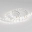 Фото Arlight RTW 2-5000SE White 014627(B) Светодиодная лента 12В (3528, IP65, 300 LED, LUX, 5 м)