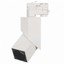 Фото Arlight 026764 Светильник светодиодный LGD-TWIST-TRACK-4TR-S60x60-12W Warm3000