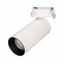 Фото Arlight 027261 Светильник светодиодный SP-POLO-BUILT-R65-8W White5000 (вставка черная)
