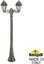 Фото Fumagalli Artu Bisso/Saba 2L K22.158.S20.BXF1R Светильник садовый с 2 фонарями 1860 мм (корпус античная бронза, плафон прозрачный)