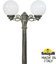 Фото Fumagalli Ricu Bisso/G250 2L G25.157.S20.BYE27 Светильник садовый с 2 фонарями 2350 мм (корпус античная бронза, плафон матовый)