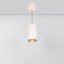 Фото Arlight 027427 Светильник светодиодный SP-POLO-HANG-R85-15W White5000 (вставка золото)