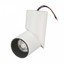 Фото Arlight 025453 Светильник светодиодный SP-TWIST-SURFACE-R70-12W Day4000 (белый)