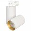 Фото Arlight 027439 Светильник светодиодный SP-POLO-TRACK-TURN-R85-15W Warm3000 (белый, вставка золото)