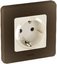Фото Legrand Inspiria 673939 рамка декоративная универсальная, 1 пост, для горизонтальной или вертикальной установки, цвет "Бронза"