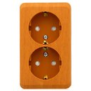 Schneider Electric Этюд PA16-008T Розетка двойная с заземляющим контактом и шторками (16 А, в сборе, открытая установка, бук)