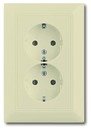 ABB Basic55 2CKA002014A1463 Розетка двойная с заземляющим контактом (16 А, в сборе, скрытая установка, слоновая кость)