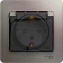 Schneider Electric Glossa GSL001248 Розетка с заземляющим контактом (16 А, в сборе, скрытая установка, шторки, крышка, IP44, платина)