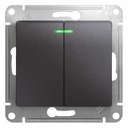 Schneider Electric Glossa GSL001353 Выключатель двухклавишный с подсветкой (10 А, под рамку, скрытая установка, графит)