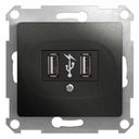 Schneider Electric Glossa GSL000732 Розетка USB (2xUSB, под рамку, скрытая установка, антрацит)