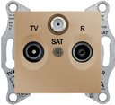 Schneider Electric Sedna SDN3501468 Розетка телевизионная проходная (TV+Radio+SAT, 4 дБ, под рамку, скрытая установка, титан)
