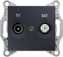Schneider Electric Sedna SDN3401670 Розетка телевизионная (TV+SAT, под рамку, скрытая установка, графит)