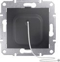 Schneider Electric Sedna SDN1200170 Выключатель со шнуром (10 А, под рамку, скрытая установка, графит)