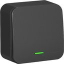 Schneider Electric Blanca BLNVA101106 Выключатель одноклавишный с подсветкой (10 А, в сборе, открытая установка, антрацит)