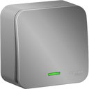 Schneider Electric Blanca BLNVA101113 Выключатель одноклавишный с подсветкой и изолирующей пластиной (10 А, в сборе, открытая установка, алюминий)