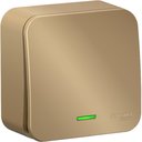 Schneider Electric Blanca BLNVA101114 Выключатель одноклавишный с подсветкой и изолирующей пластиной (10 А, в сборе, открытая установка, титан)