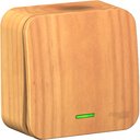 Schneider Electric Blanca BLNVA101115 Выключатель одноклавишный с подсветкой и изолирующей пластиной (10 А, в сборе, открытая установка, ясень)
