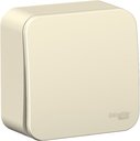 Schneider Electric Blanca BLNVA061002 Выключатель одноклавишный (6 А, в сборе, открытая установка, молоко)