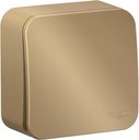 Schneider Electric Blanca BLNVA106014 Переключатель одноклавишный с изолирующей пластиной (10 А, в сборе, открытая установка, титан)