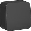 Schneider Electric Blanca BLNVA106016 Переключатель одноклавишный с изолирующей пластиной (10 А, в сборе, открытая установка, антрацит)