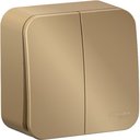 Schneider Electric Blanca BLNVA105014 Выключатель двухклавишный с изолирующей пластиной (10 А, в сборе, открытая установка, титан)