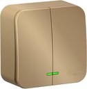 Schneider Electric Blanca BLNVA105104 Выключатель двухклавишный с подсветкой (10 А, в сборе, открытая установка, титан)