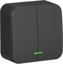 Schneider Electric Blanca BLNVA105106 Выключатель двухклавишный с подсветкой (10 А, в сборе, открытая установка, антрацит)