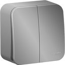 Schneider Electric Blanca BLNVA105023 Выключатель двухклавишный с монтажной пластиной (10 А, в сборе, открытая установка, алюминий)