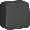 Schneider Electric Blanca BLNVA105026 Выключатель двухклавишный с монтажной пластиной (10 А, в сборе, открытая установка, антрацит)