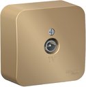 Schneider Electric Blanca BLNTA000014 Розетка телевизионная (TV, в сборе, открытая установка, титан)