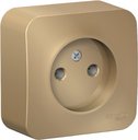 Schneider Electric Blanca BLNRA000114 Розетка одинарная с изоляционной пластиной (16 А, в сборе, открытая установка, титан)