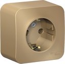 Schneider Electric Blanca BLNRA010114 Розетка одинарная с заземляющим контактом и изоляционной пластиной (16 А, в сборе, открытая установка, титан)