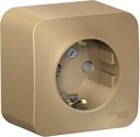 Schneider Electric Blanca BLNRA011114 Розетка одинарная с заземляющим контактом и изоляционной пластиной (16 А, в сборе, шторки, открытая установка, титан)