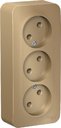 Schneider Electric Blanca BLNRA000314 Розетка тройная с изоляционной пластиной (16 А, в сборе, открытая установка, титан)