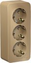 Schneider Electric Blanca BLNRA010314 Розетка тройная с заземляющим контактом и изоляционной пластиной (16 А, в сборе, открытая установка, титан)