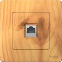 Schneider Electric Blanca BLNIS045005 Розетка компьютерная (RJ45, в сборе, скрытая установка, ясень)