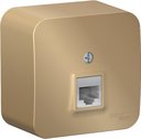 Schneider Electric Blanca BLNIA011004 Розетка телефонная (RJ11, в сборе, открытая установка, титан)