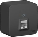 Schneider Electric Blanca BLNIA011006 Розетка телефонная (RJ11, в сборе, открытая установка, антрацит)