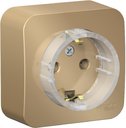 Schneider Electric Blanca BLNRA110114 Розетка одинарная с заземляющим контактом и изоляционной пластиной (16 А, в сборе, открытая установка, титан)