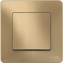 Schneider Electric Blanca BLNVS010104 Выключатель одноклавишный (10 А, в сборе, скрытая установка, титан)