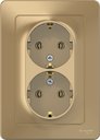 Schneider Electric Blanca BLNRS001024 Розетка двойная с заземляющим контактом (16 А, в сборе, скрытая установка, титан)