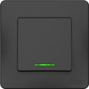 Schneider Electric Blanca BLNVS010616 Переключатель одноклавишный (10 А, в сборе, подсветка, скрытая установка, антрацит)